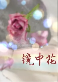 镜中花(高干 娱乐圈 H)