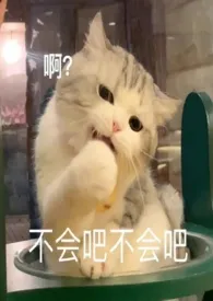 我的“太太”不能断更!