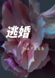 逃婚（年下1V1）