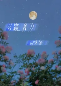 窥月(1v1,豪门高干)