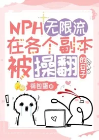 无限流:在各个副本被操翻的日子(NPH)