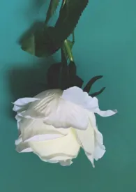 有形之物与无形之物(架空/剧情)