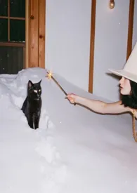 她和她的猫(高H)