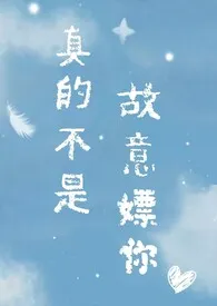 真的不是故意嫖你(1v1)