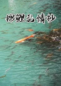 锦鲤乱情抄(NP)