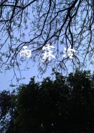 雨霖泠(sc,强制爱,前世今生)