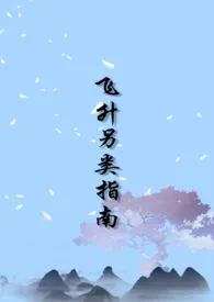 飞升另类指南(NP)