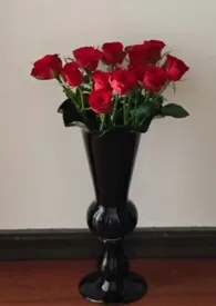 帝国之花(兄妹 骨科)