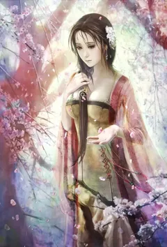 红楼之挽天倾(重置版)